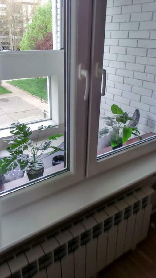 Apartman Oslo Beograd Eksteriør billede